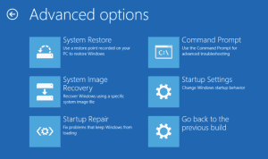 AIKU računari - Advanced Startup Options 8